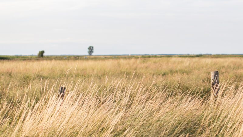High Plains Conservation News Workshop Oct. 2019