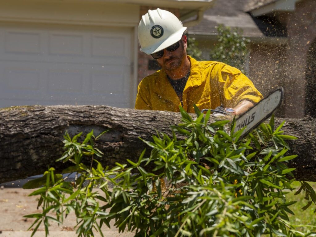 Man in hard hat cutting tree with chainsaw