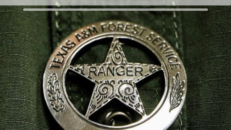 Law Enforcement Thumbnail