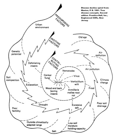 Manion Disease Spiral