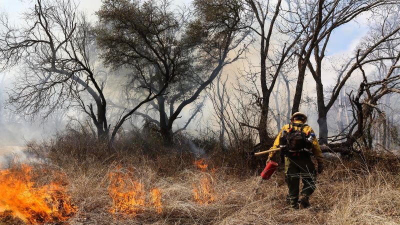 Firefighter using a trip torch on prescribed fire