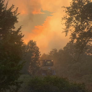 Wildfire Update 8/20