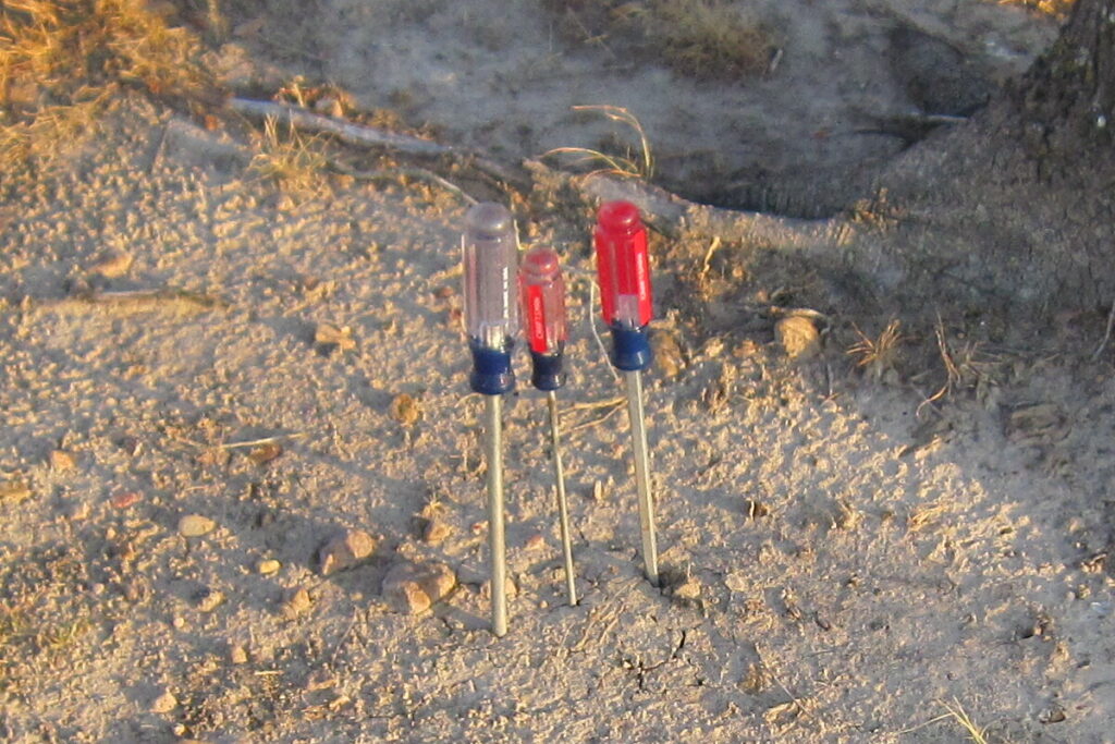Next to a gardening hose, three screwdrivers that have been driven into the ground next to a tree