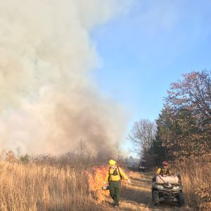 Prescribed fire in Eustace
