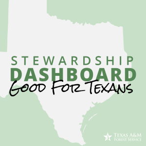Stewardship Dashboard
