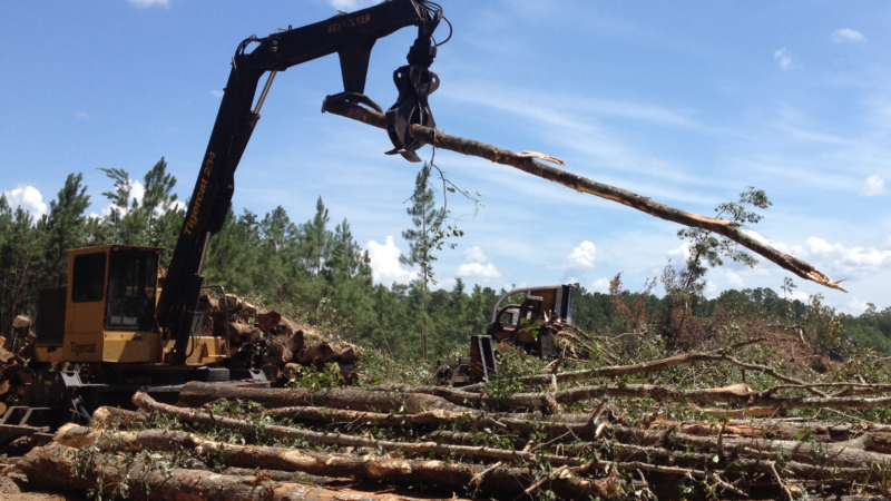 Southern timber supply