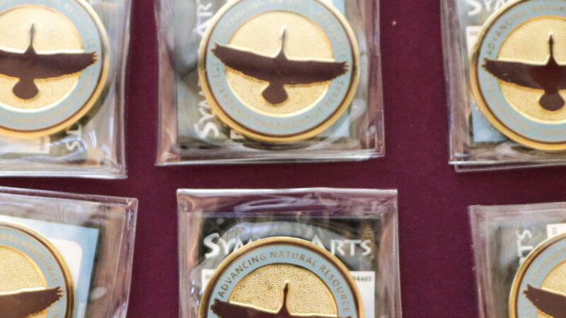Texas A&M Forest Service Leadership Institute Challenge Coin