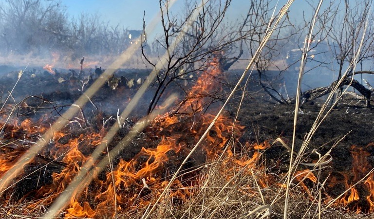 Wildfire Weather Update 3/9/21