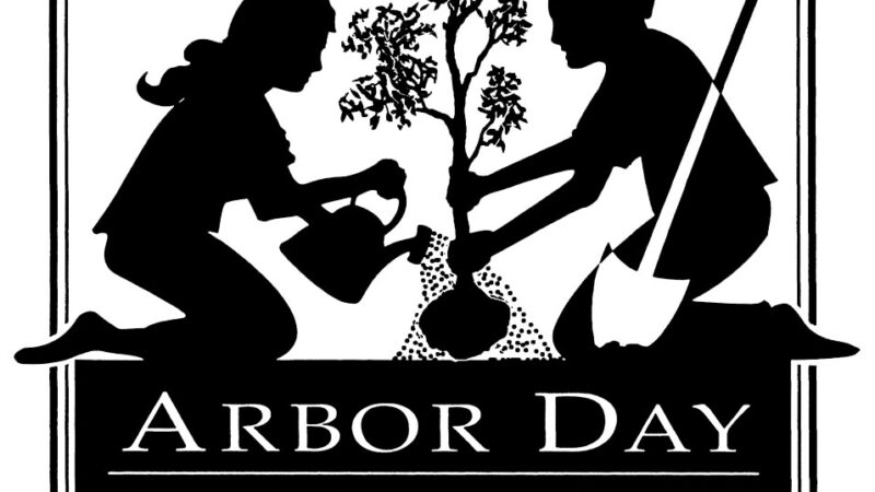 Arbor Day Texas