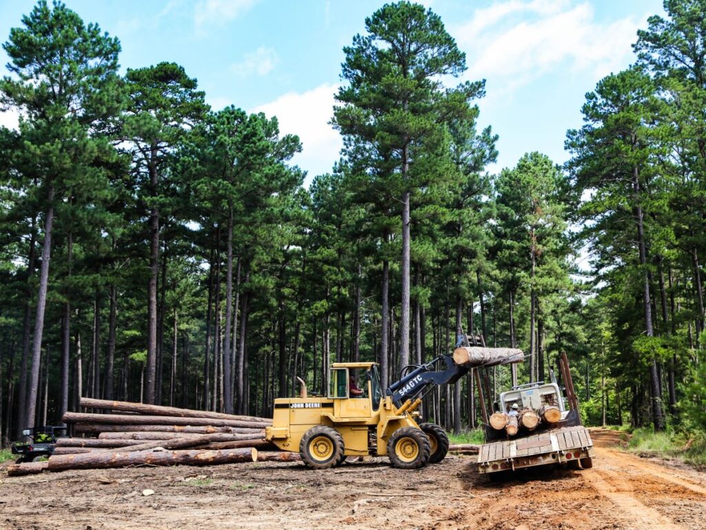 Equipement loading timber logs on truck