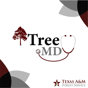 Tree MD