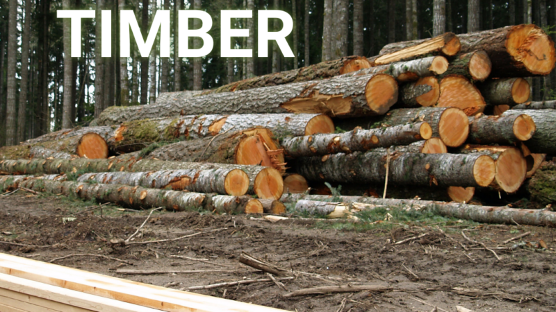 Lumber vs Timber
