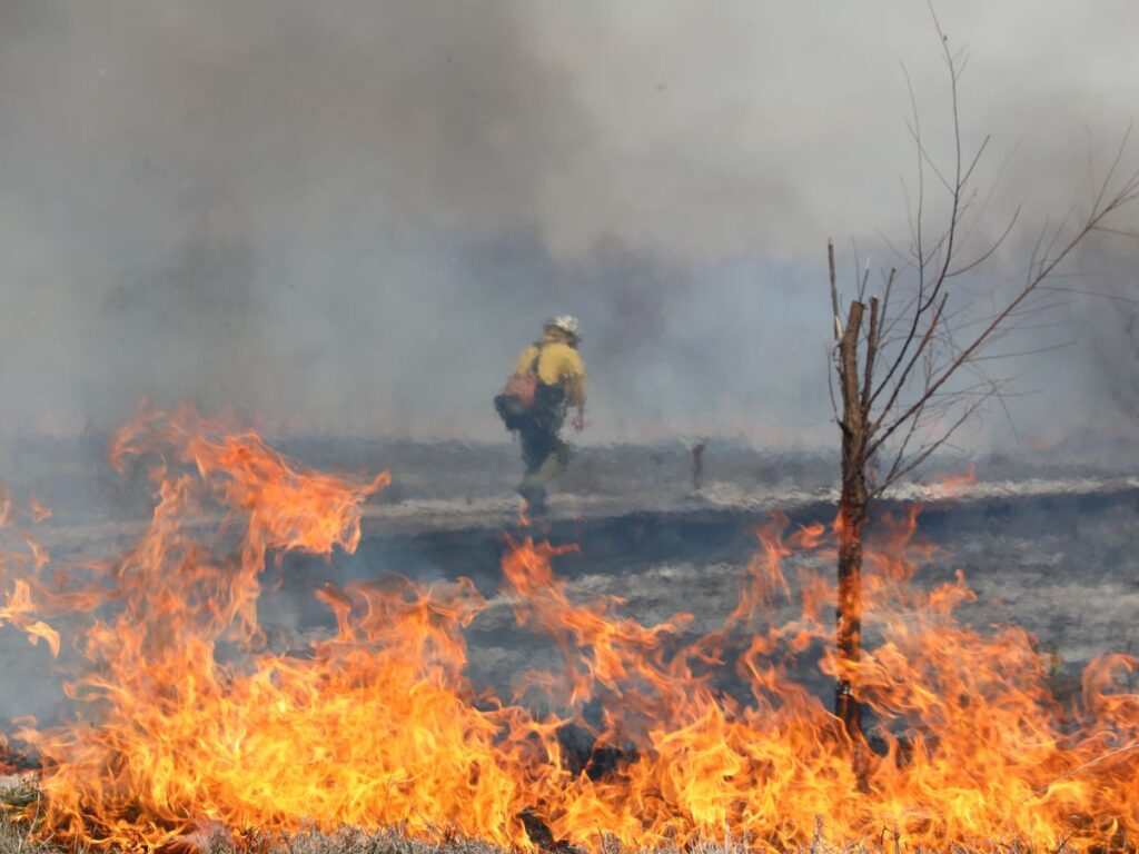 Wildfire with firefighter in distance