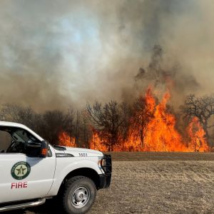 March 21 Wildfire update 2022