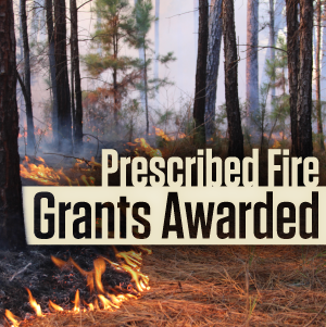 Rx Fire Grants 300