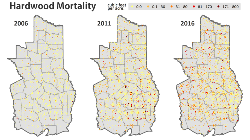 A series of three maps showing changes in hardwood mortality from 2006 to 2016. Maps indicate levels of cubic feet per acre with color coding: yellow for low, orange for moderate, and red for high mortality rates across regional areas.