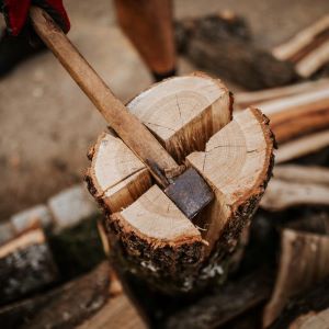Don't move firewood graphic 2021