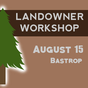 Bastrop workshop