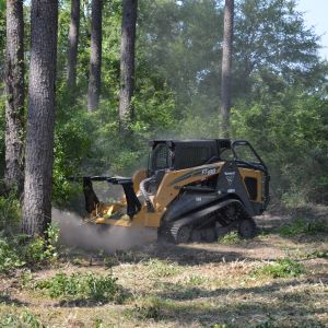 Mechanical fuels reduction work