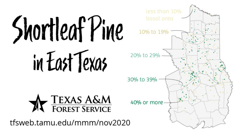 Map indicating general distribution and density levels of shortleaf pine.