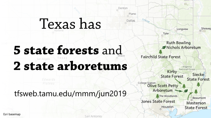 Map of East Texas showing locations of five state forests and two state arboretums. Text reads: Texas has 5 state forests and 2 state arboretums.