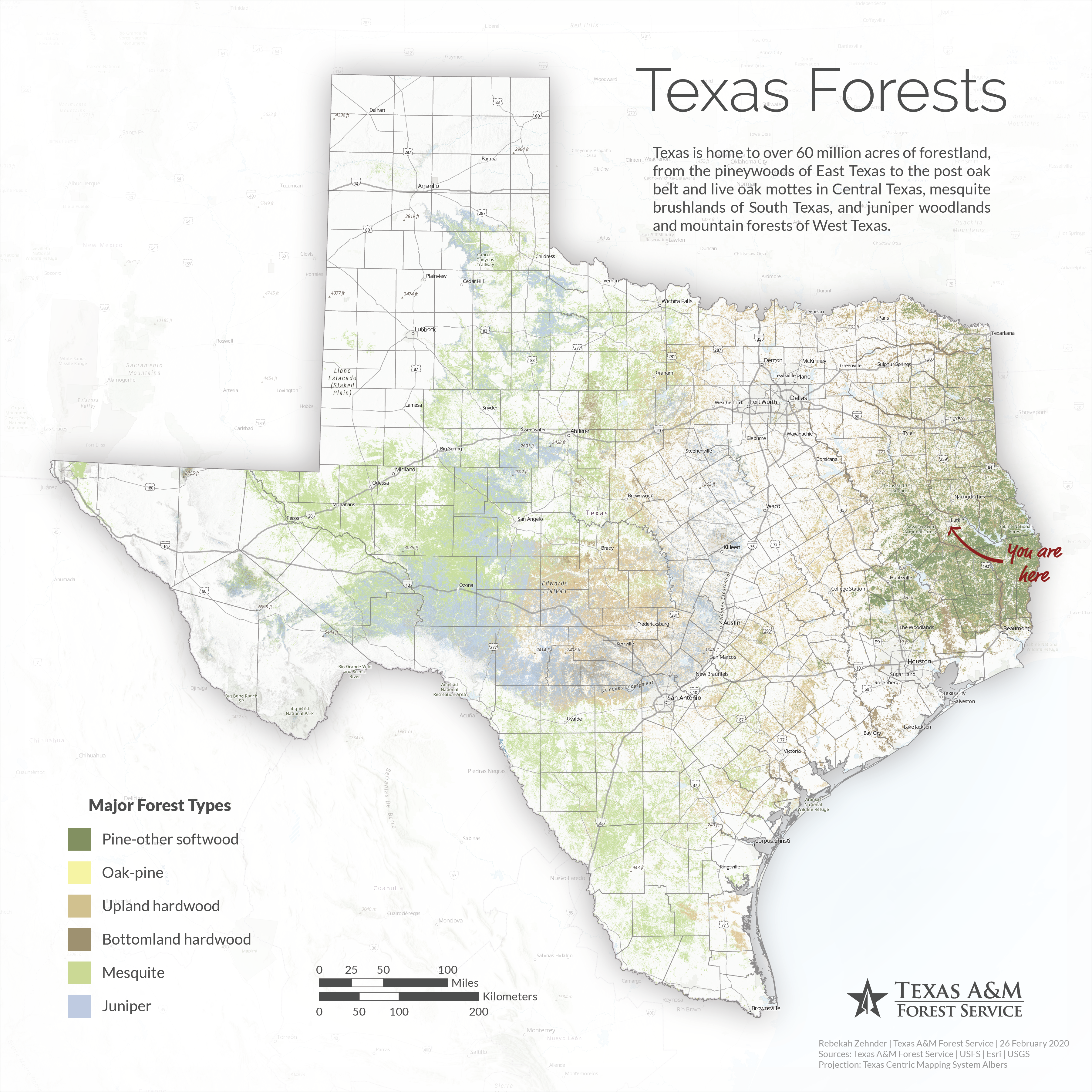 Map of Texas showing various forest types. It includes pine-oak, oak-pine, upland hardwood, bottomland hardwood, mesquite, and juniper woodlands. The map highlights forest distribution with a color-coded legend and scale bar.