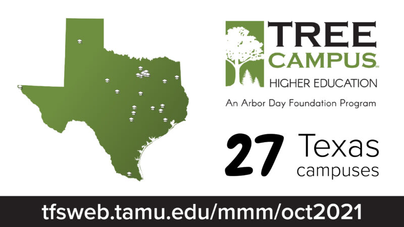 "Graphic showcasing the Arbor Day Foundation's Tree Campus Higher Education program, recognizing 27 Texas colleges and universities for promoting trees and green spaces on campus."