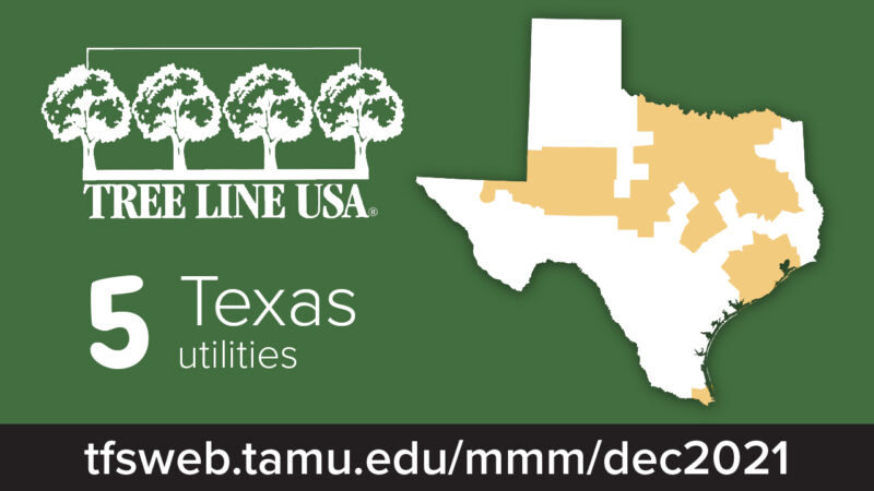 Image representing the Tree Line USA program by the Arbor Day Foundation, highlighting five core standards for utilities: quality tree care, worker training, tree planting, energy conservation, and Arbor Day celebration.