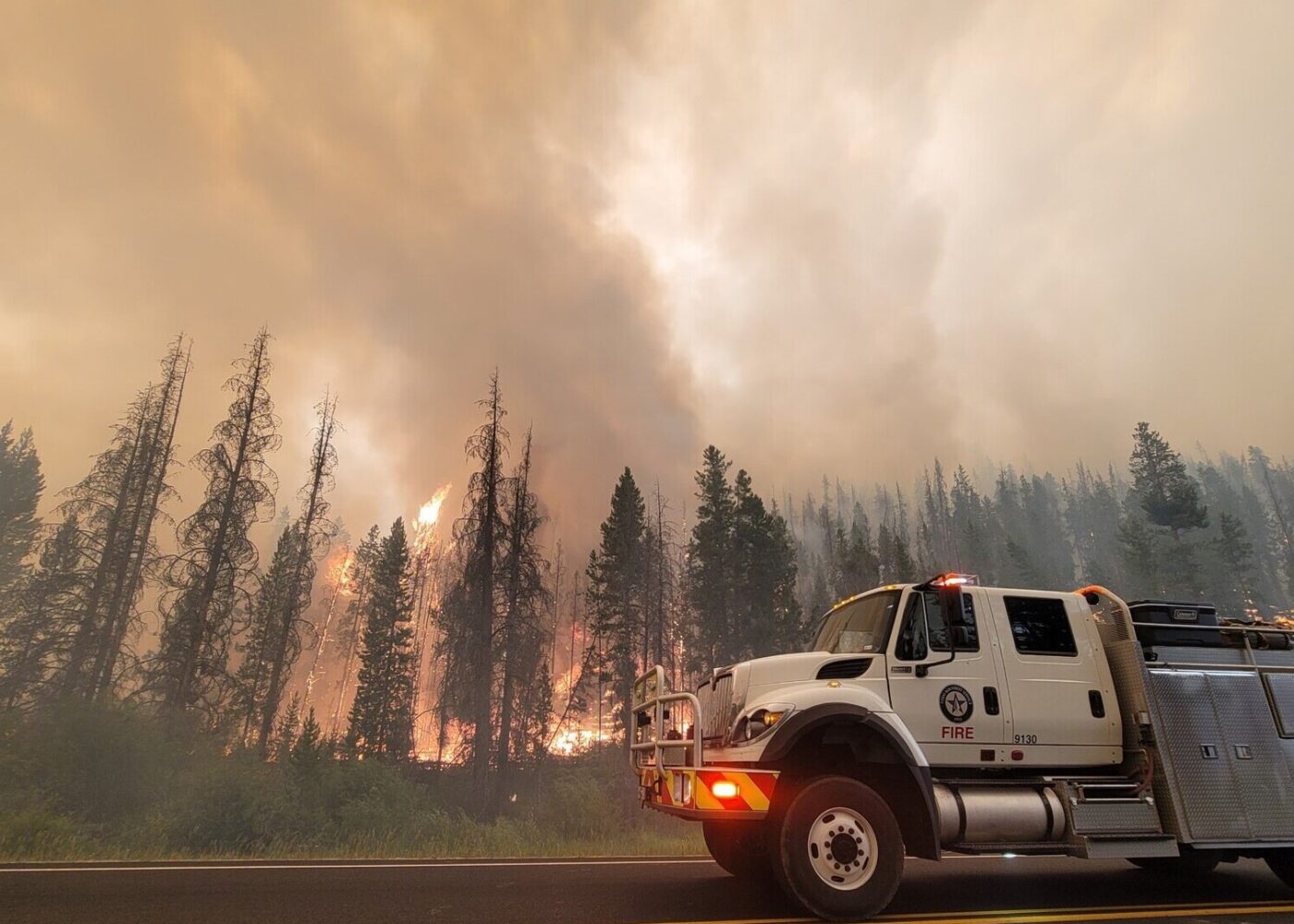 At the forefront a firetruck is parked while pine trees burn in a forest fire in the background