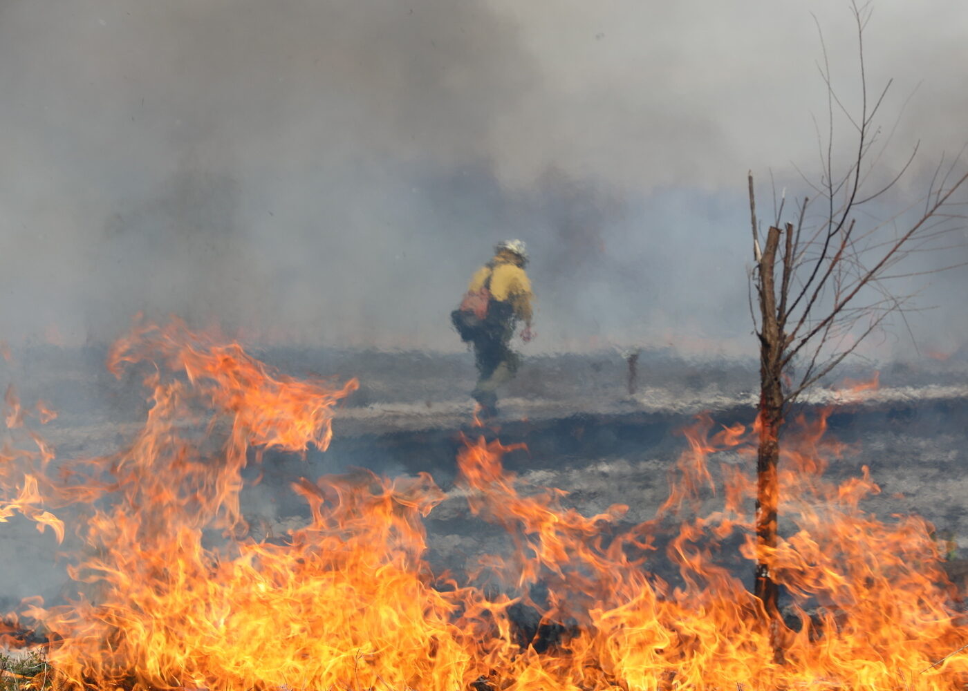 In the foreground flames are visible as an area of land is actively burning, and in the background shows scorched earth and a person walking away from the burn area