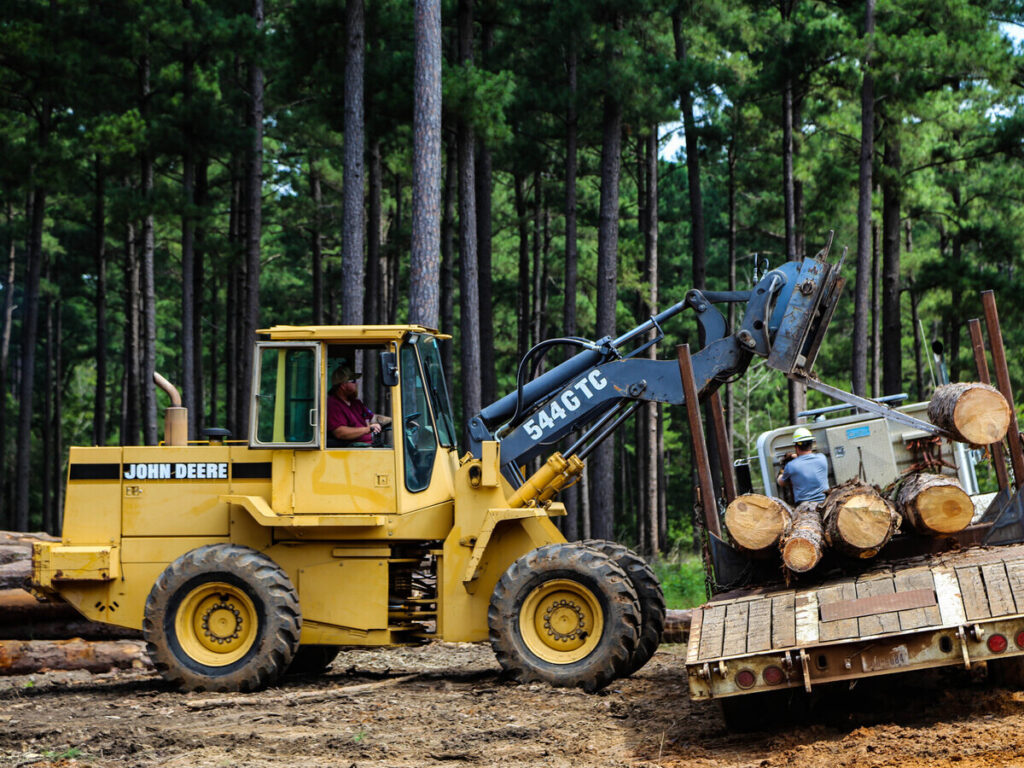 An operator using heavy machinery to load timber onto the back of a flatbed
