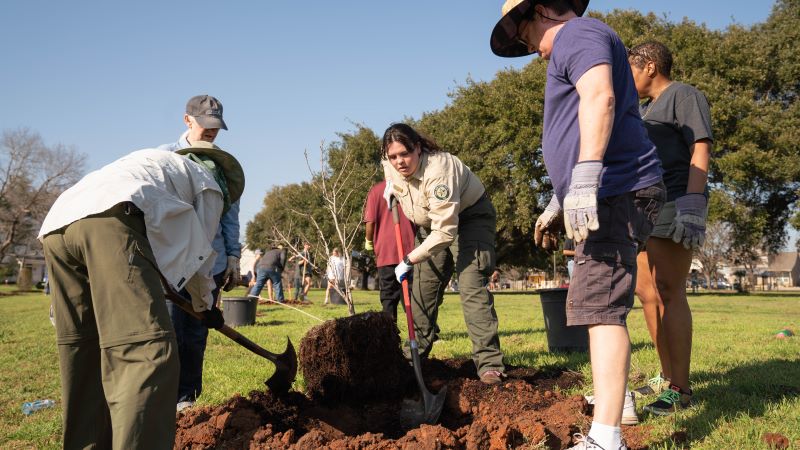 Group of people planting tree in a green grass field