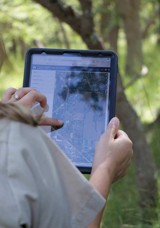 Un primer plano de un silvicultor usando la aplicación Map en una tableta