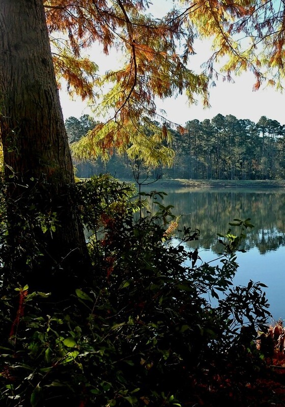Fall colors at Ratcliffe lake