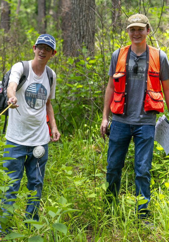 Los estudiantes trabajan juntos para realizar un análisis de inventario forestal