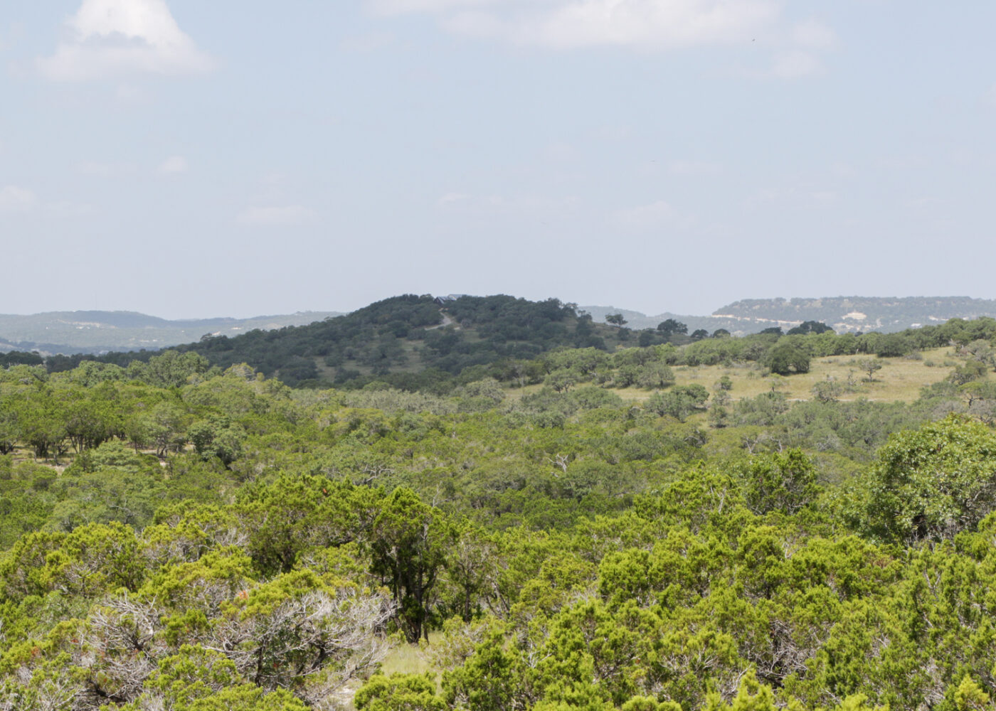 Un valle de arbustos