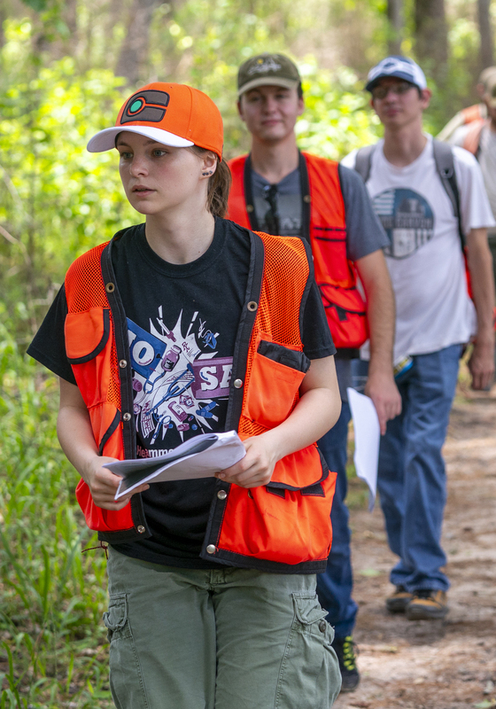 A group of people walking through a forest with pen and paper in hand