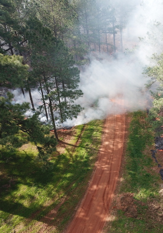 Una vista aérea del humo moviéndose a través de un bosque en una quema prescrita