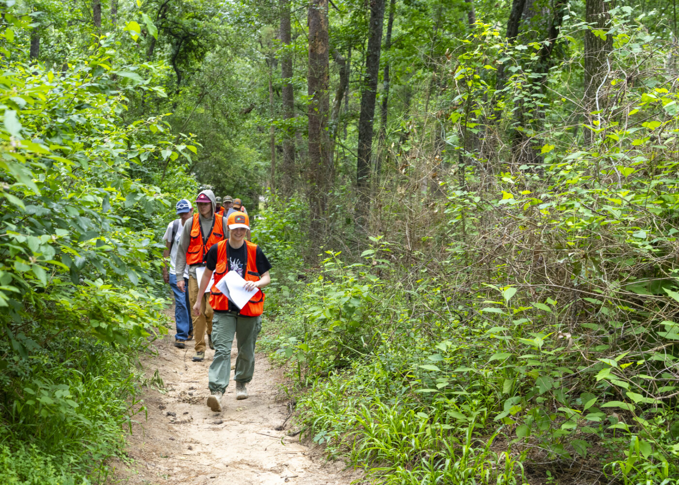 Students walking through a forest to perform an inventory analysis