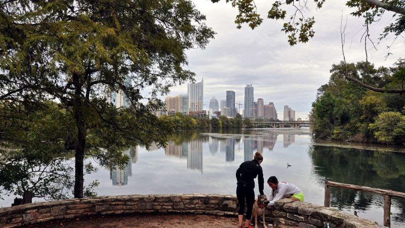 Tree and people petting a dog in front of lake and city skyline