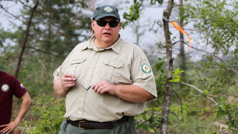 Forester stands in forest