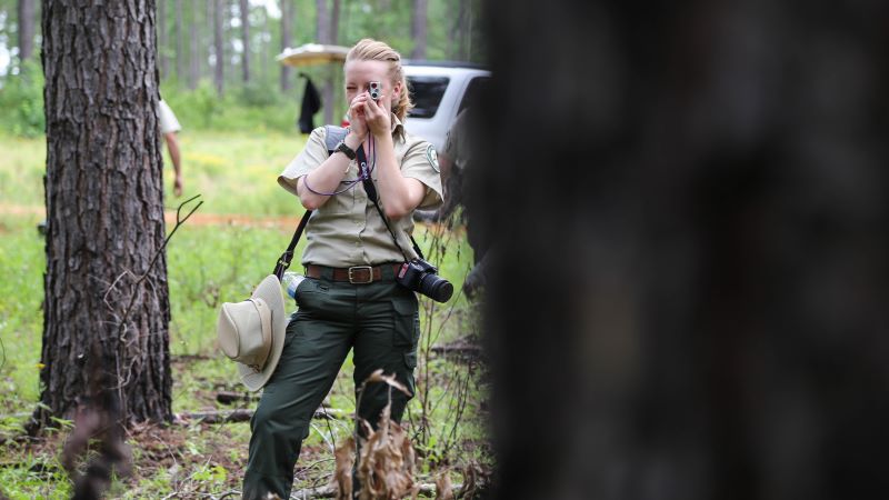 Forester looking through scope with tree in front of her
