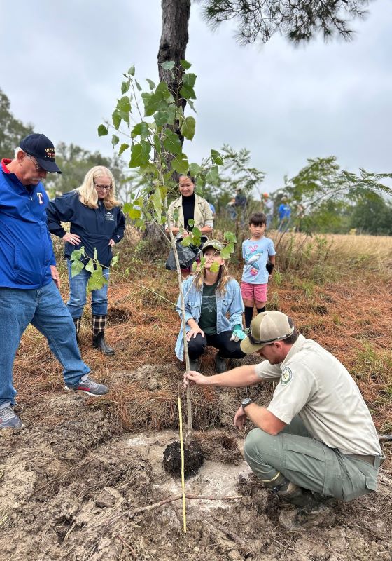 Group of people planting a young tree