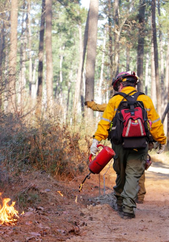 Firefighter with a drip torch putting flames on the ground