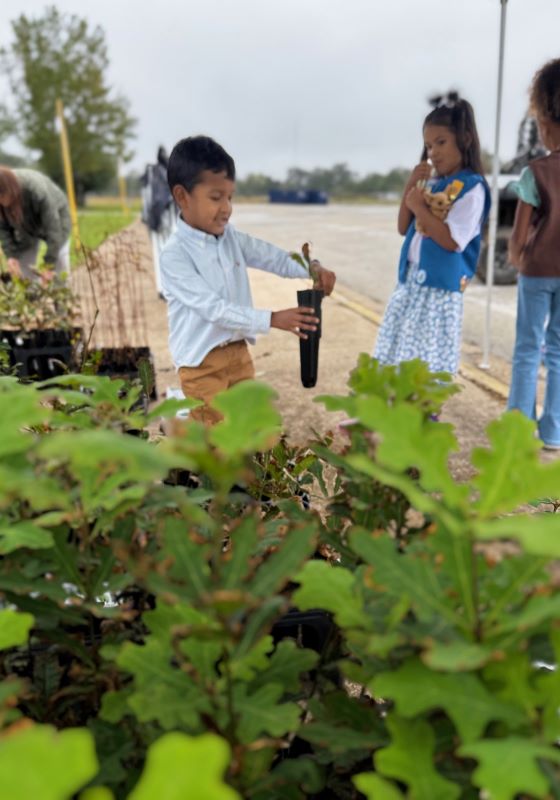 Plántulas de árboles en primer plano con un niño recogiendo una en el fondo