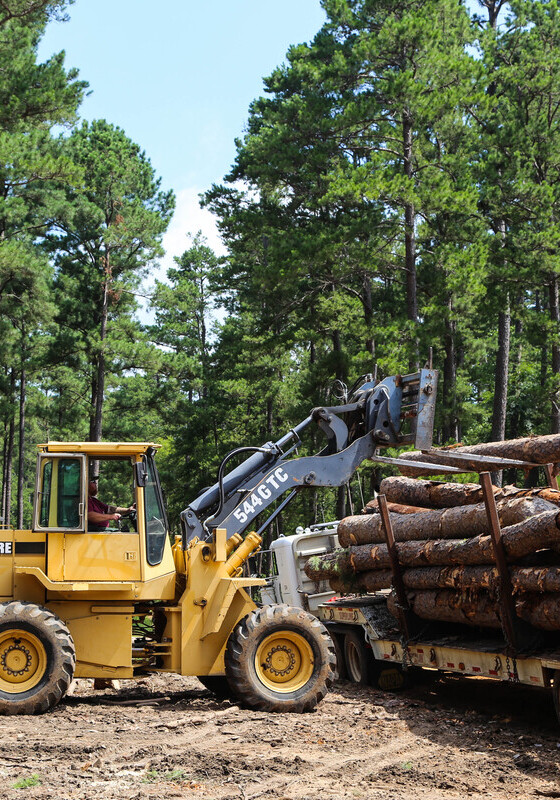 A machine operator drops a log of wood onto the back of a truck
