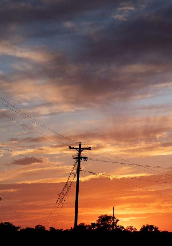 Sunset with powerline and trees dark in front