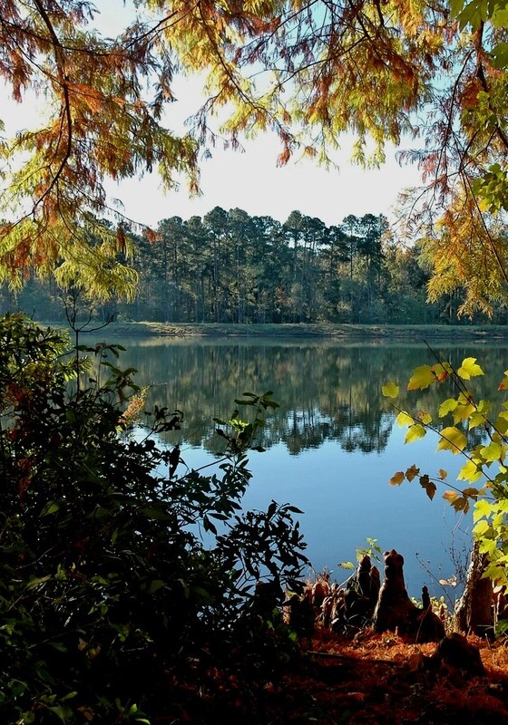 A view of the lake bordered by autumn colored foliage