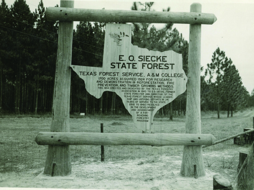 Una vieja foto en blanco y negro del letrero del Bosque Estatal Siecke