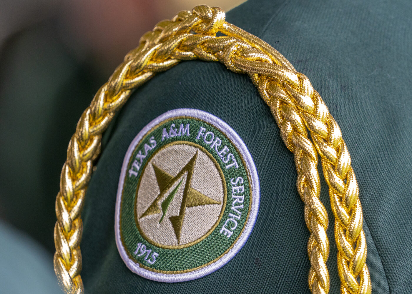 TAMFS logo